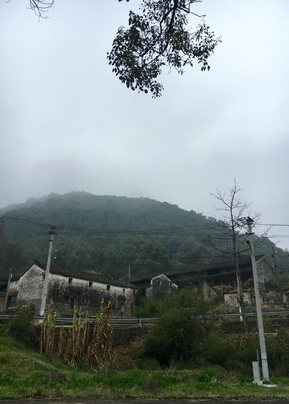 胡宅乡最新天气预告更新通知