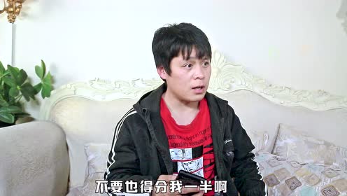 郑云最新动态与成绩概览