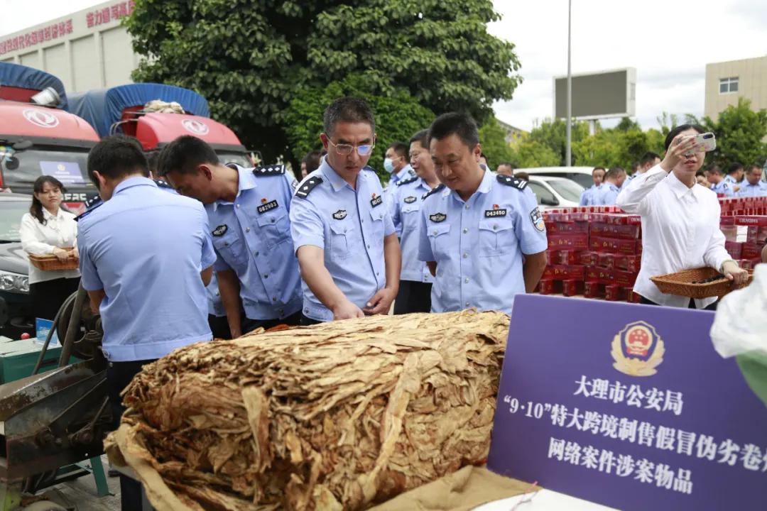 大理市教育局最新项目引领教育刷新，塑造未来之光启航教育新篇章