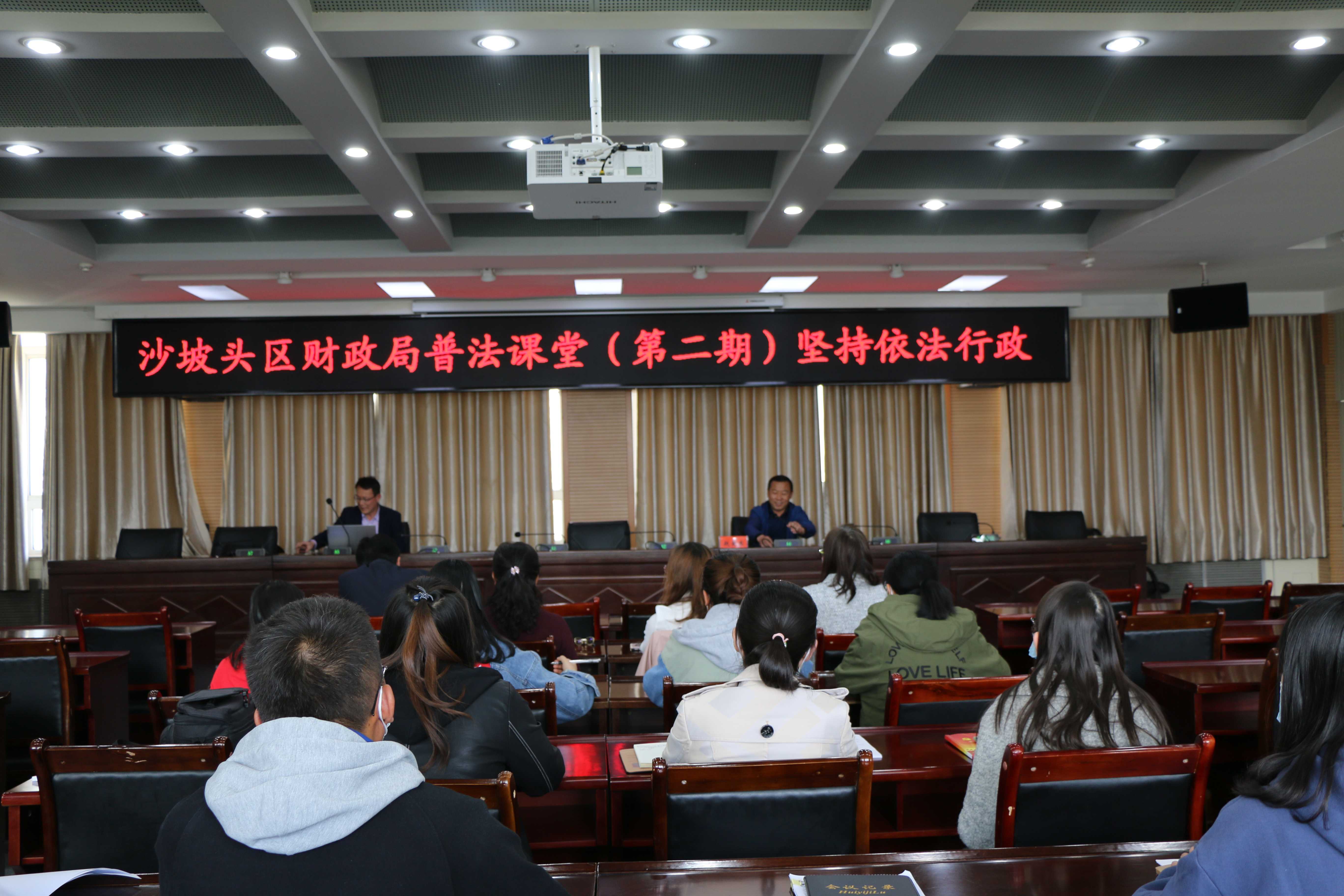沙坡头区审计局生长妄想揭秘，构建现代化审计系统，推动区域审计事业新生长