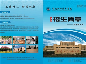 靖边县水利局最新招聘信息详解，职位概述与解读
