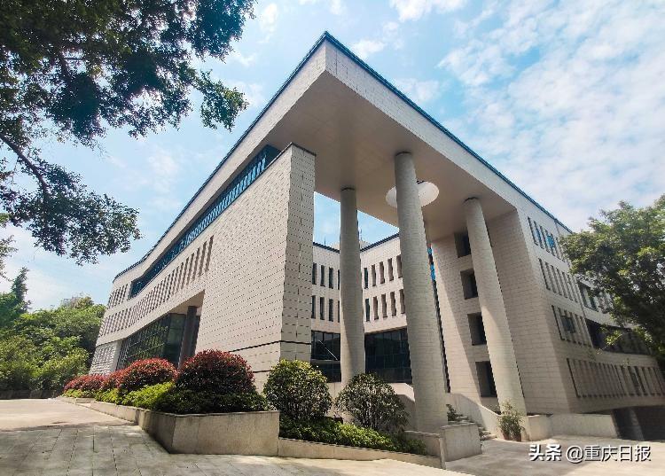 九龙县图书馆最新项目，探索知识的新领域之旅