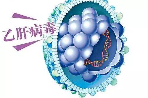 最新乙肝治疗要领，希望之光照亮未来之路的曙光