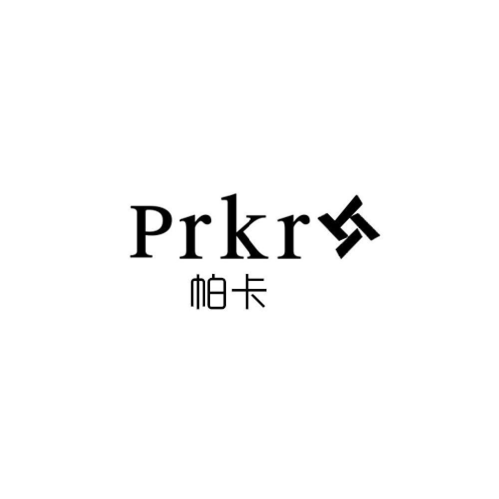 帕卡最新动态，引领厘革与立异的前沿资讯