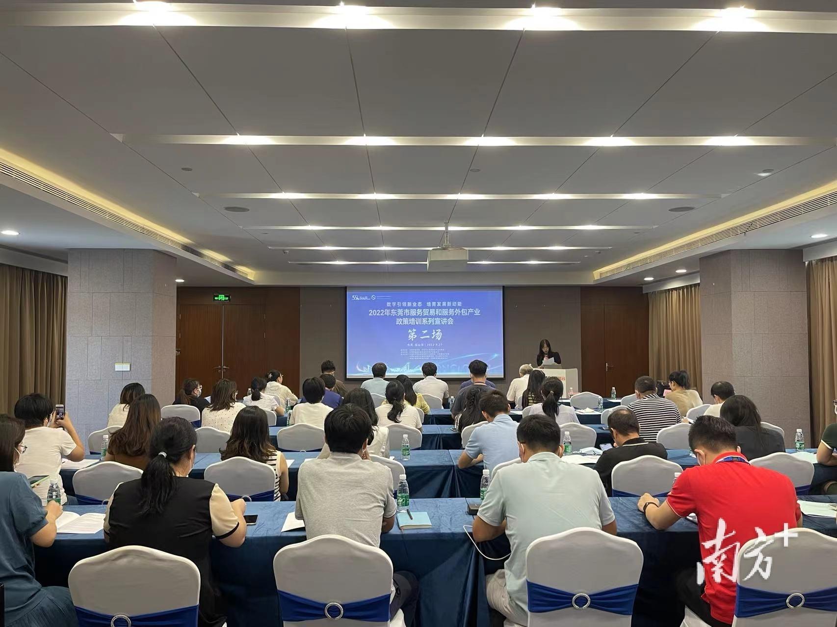 东莞最新政策，推动都会高质量生长的新动力