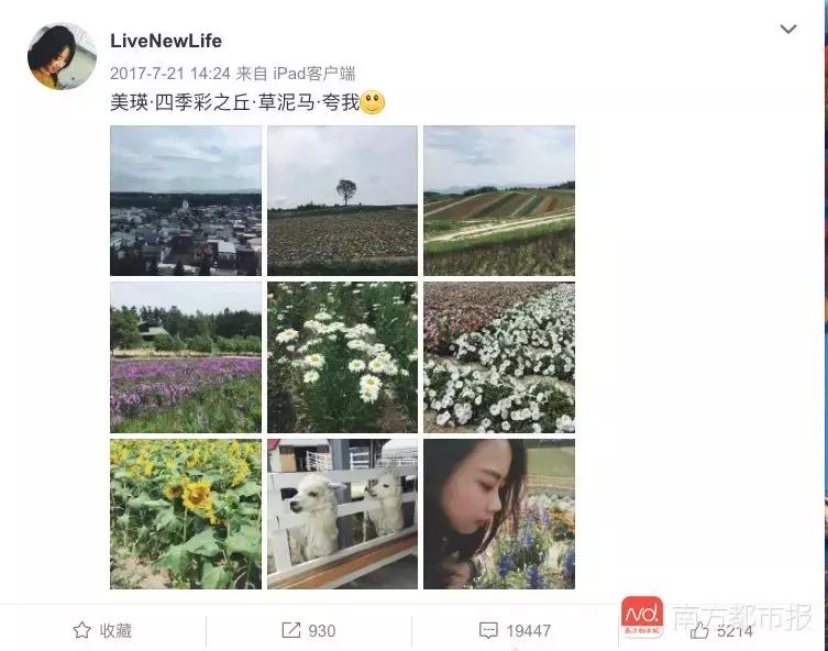 危秋洁最新动态，展现一连魅力与奇异风范
