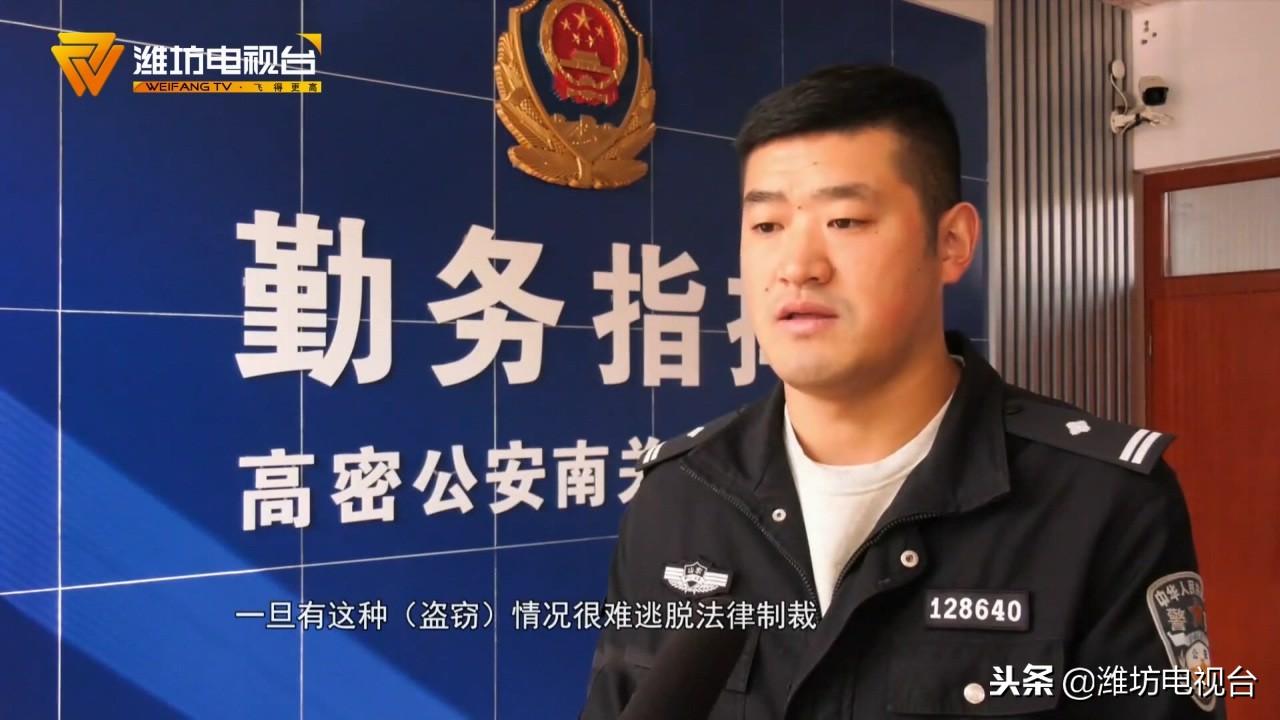 高密最新信息概览，最新动态一网打尽
