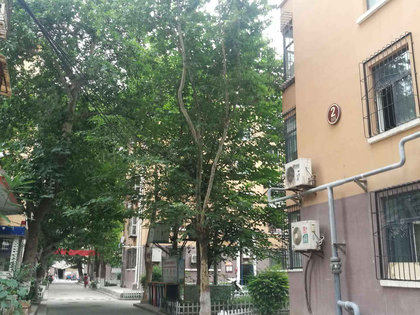 畅家巷社区居委会最新动态报道