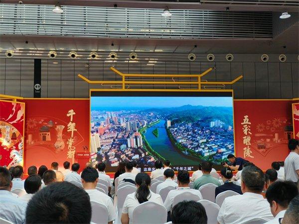 醴陵市生长和刷新局最新项目动态概览