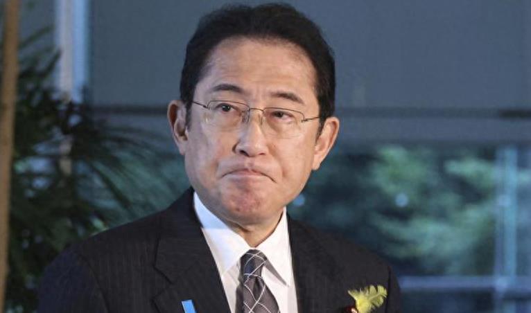 日本最新限制政策剖析及其影响探讨