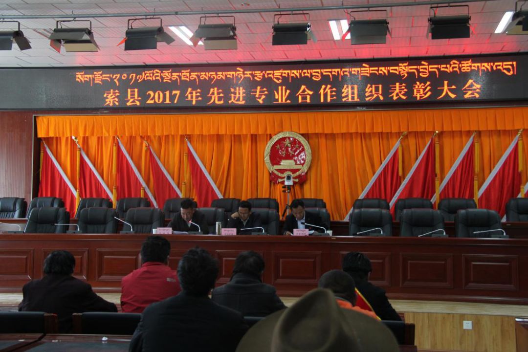 索县教育局人事大调解，重塑教育名堂，引领未来之光的新篇章