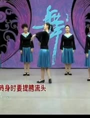 杨艺最新广场舞风潮，舞动魅力的闪灼