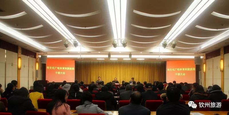 崇明县文化广电体育和旅游局最新向导团队及展望，未来展望与向导实力重塑