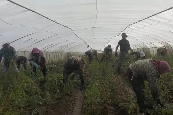 鹤城区文化广电体育和旅游局最新战略妄想揭秘
