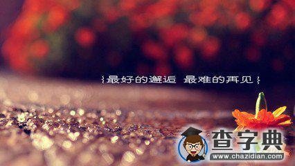 2015年回首与前瞻，最新动态及展望