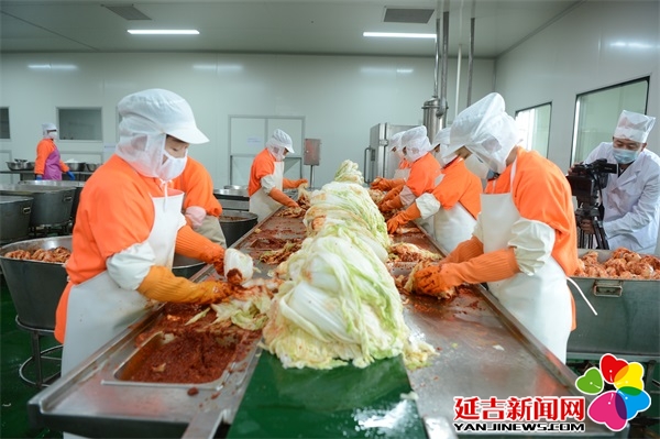 食物厂最新立异食物，质量交汇点，展望未来生长之路