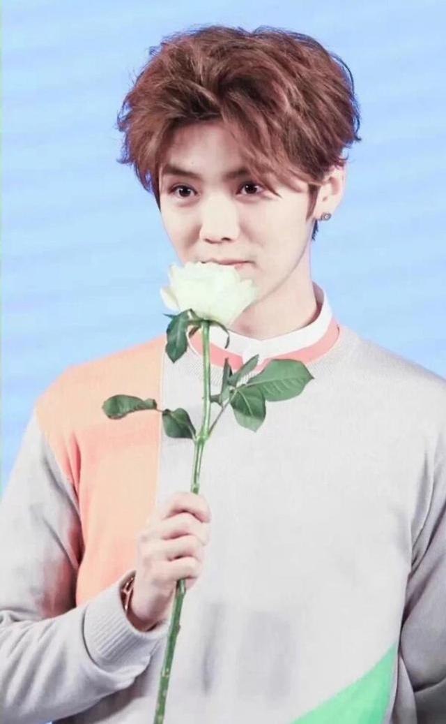 最新热巴鹿晗，娱乐圈的璀璨新星闪灼光线