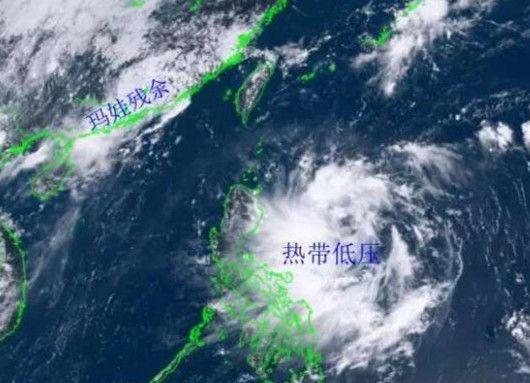 台风最新动态，影响及应对步伐全剖析