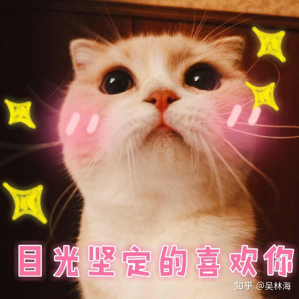 最新谈天图片，时尚潮流与情绪表达的新选择