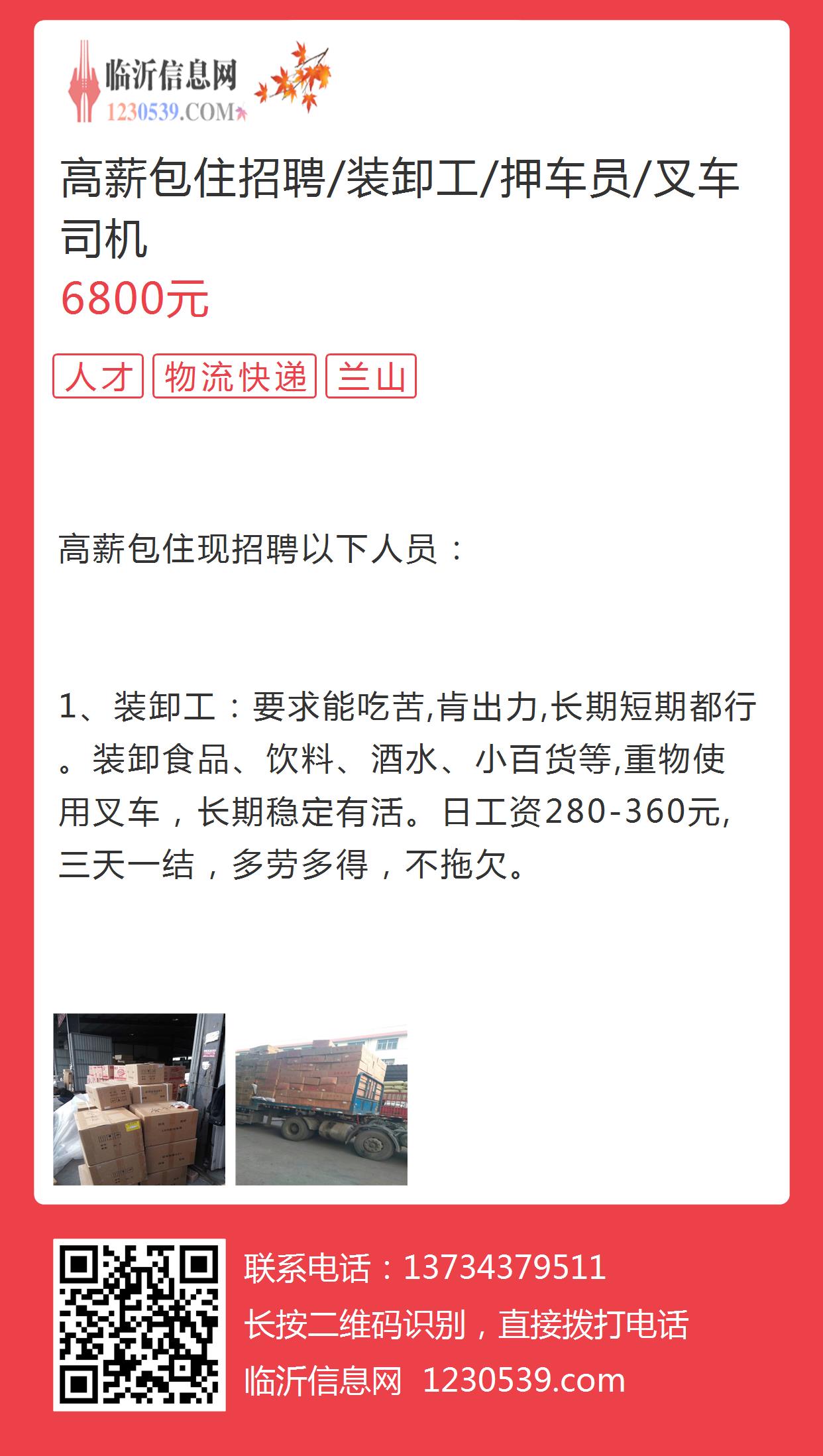 青岛最新司机招聘，探索职业生长的理想选择，开启驾驶人生新篇章