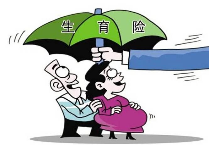 生育包管最新政策解读与探讨，政策更新及影响剖析