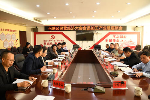 岳塘区审计局最新战略妄想揭秘，未来生长妄想概览