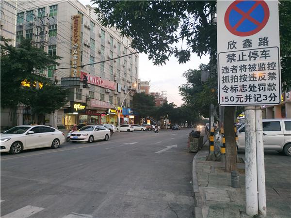 李宁鞋最新系列，时尚潮流与科技立异的完善融合