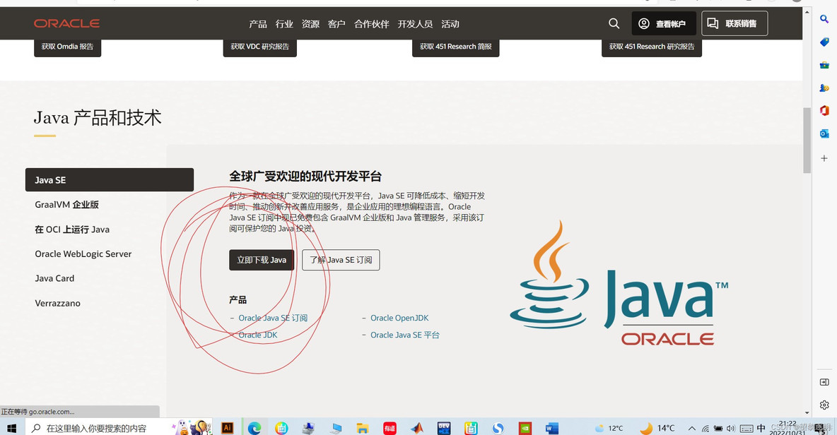 Java最新下载探索，Java天下的无限魅力