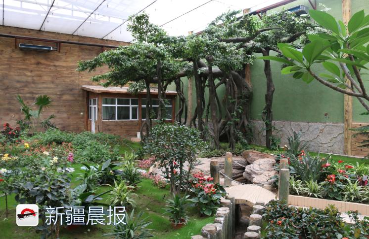 哈密地区市新闻出书局人事大调解，重塑未来出书业向导团队