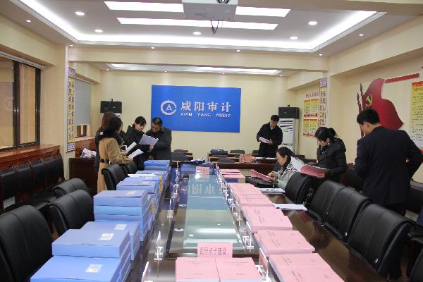 府谷县审计局深化财务羁系，推动县域经济康健生长新项目启动