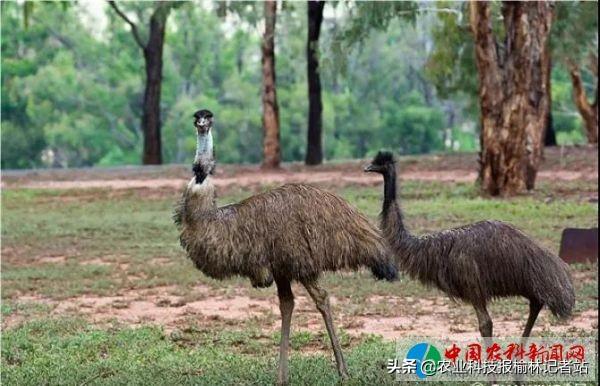 古塔区人民政府办公室新任向导团队，引领未来生长的崭新实力