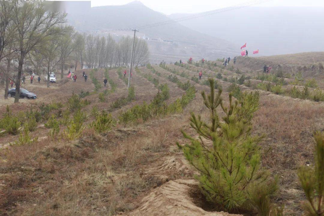 罗山水乡最新项目，引领墟落生长的崭新篇章启动！