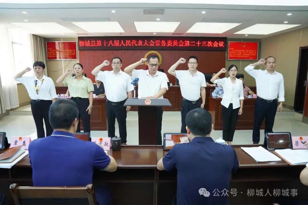 那坡县教育局人事大调解，重塑教育蓝图，引领未来之光