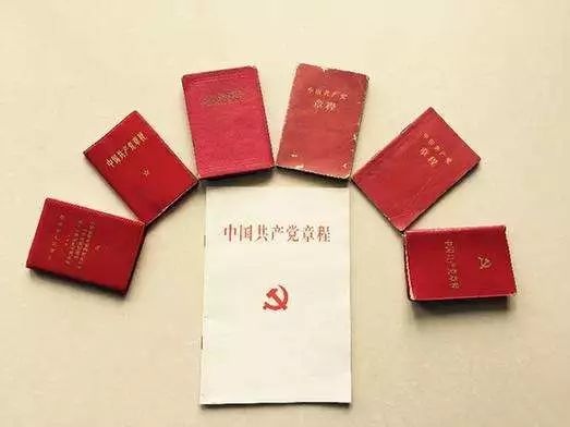 最新党章，指引偏向，凝聚实力
