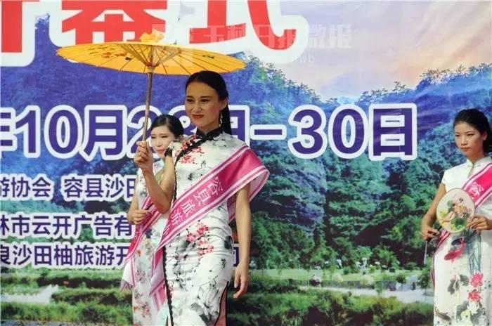 容县文化局新项目启动，地方文化昌盛与生长的崭新篇章