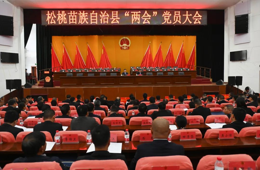 松桃苗族自治县数据和政务效劳局最新项目希望报告概览