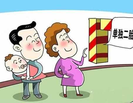 最新二胎铺开政策新闻，影响及远景展望