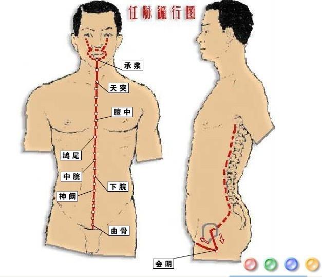 探索人体神秘能量，最新颖经八脉研究新篇章