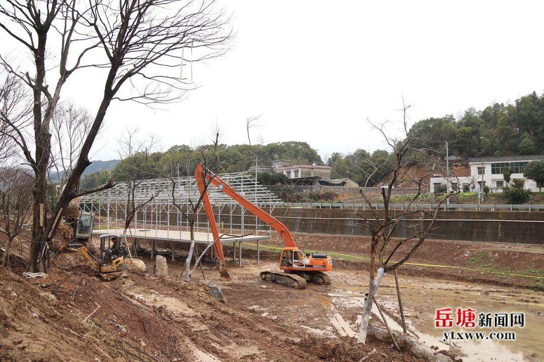 岳谢村民委员会最新项目概览，最新动态与希望
