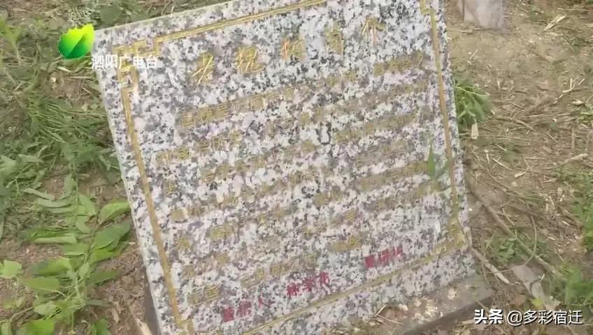 宿迁市林业局人事大调解，推动绿色生长的实力重组