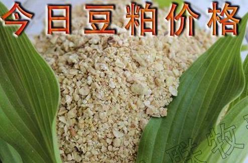 鹅鹅最新价钱行情及剖析