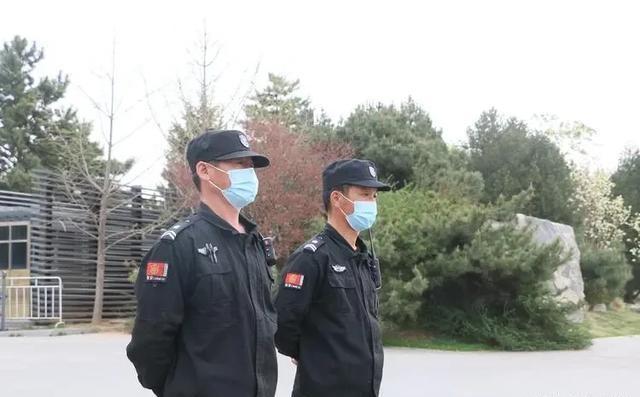 深圳最新保安招聘，职业远景、要求与机缘详解