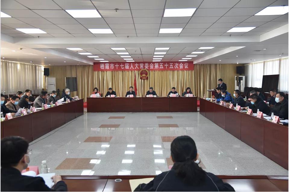 栖霞区人民政府办公室人事大调解，构建未来生长新篇章