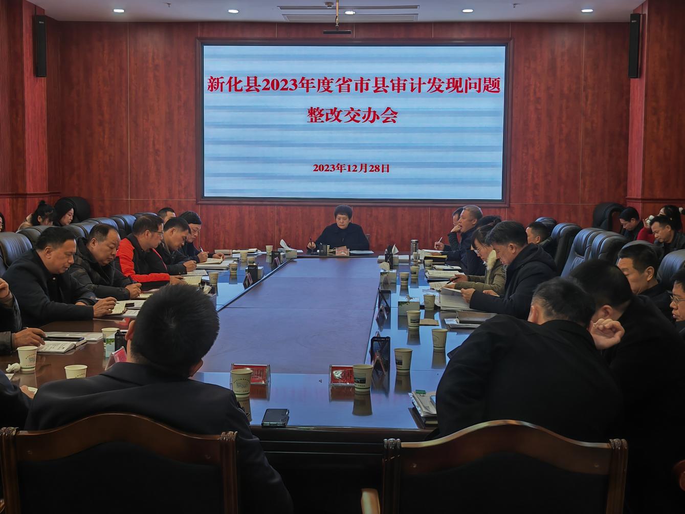 新化县审计局未来生长妄想，塑造审计新蓝图，展望未来生长新篇章