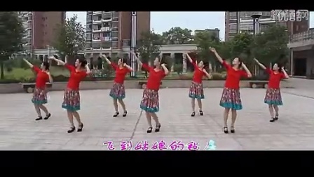 最新应子广场舞，舞动生涯的活力之源的魅力展现