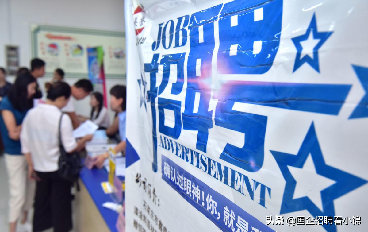 广最新招聘信息概览，岗位概述与招聘动态更新